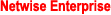Netwise Enterprise