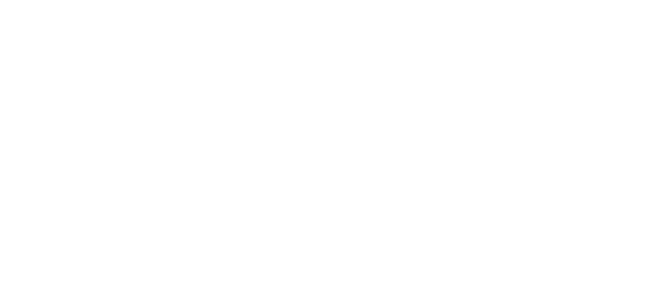 TMW Systems, Inc.